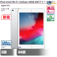 iPad mini 5（Apple A12 (2.49GHz) / iOS 17 ）