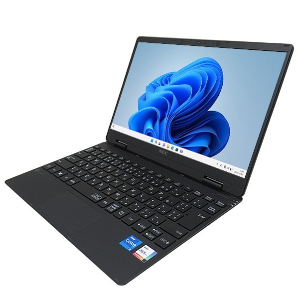 NEC LAVIE Direct PC-GN18578DS (1506714) ノートパソコン(Core i5-1130G7 / Windows 1164bit )