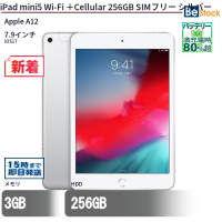 iPad mini 5 Wi-Fi + Cellular 256GB SIMフリー シルバー 【中古】（Apple A12 (2.49GHz) / iOS 17 ）